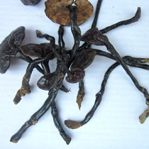 Wild Ganoderma lucidum bamboo lucidum wild bamboo Zhi soup Zhi 350 yuan wild Ganoderma lucidum