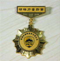 Custom Gold Silver Bronze medal Badge medal medal bie zhang medals emblem badge brooch