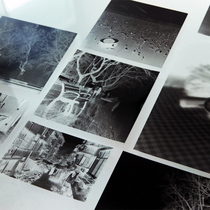 Special Retina Film for Classical Photography Special Retinal Film without Network-Lie Shingzhi Classical Photography