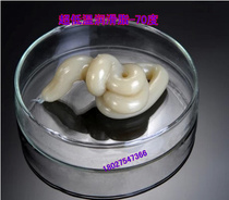 Low temperature bearing grease ultra-low temperature refrigerator freezer freezer freezer freezer machinery and equipment lubricating grease paste 130g