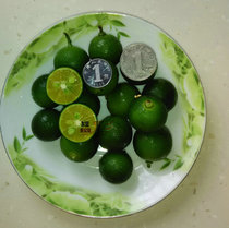 (2kg) fresh small green orange 1000g green kumquat skin thin juicy small orange sour drink small lemon
