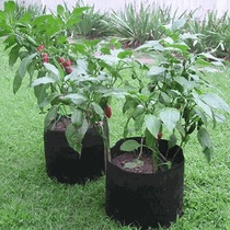 Nursery bag 14*18 non-woven planting pots planting vegetables black handle garden medium beauty plant home gardening
