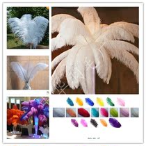 South Africa imported ostrich feathers wedding feather flowers selected long ostrich hair white multi-color can be dyed spot