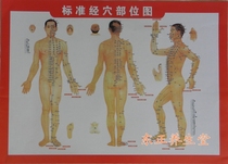 Front and back hole map wall map moxibustion moxa moxa Rod moxibustion box reference figure human Meridian map