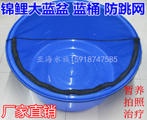  Round Bowl Blue Bowl Koi Professional Fish Bowl Blue Bowl Diameter 70cm 80cm 90cm 113cm Mesh Cover