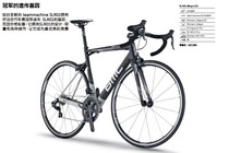 BMC Teamachine SLR02 Ultegra Di2 Carbon Fiber Professional Tour Champion