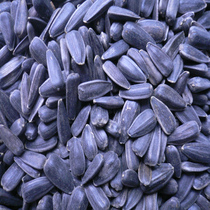 BUY 5 GET 1 FREE SUNFLOWER SEEDS 50G(BUY 5 GET 1 FREE)