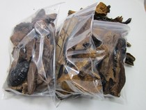 Wild purple Ganoderma lucidum Birch brown wild purple Ganoderma lucidum wild Birch brown combination Ganoderma lucidum