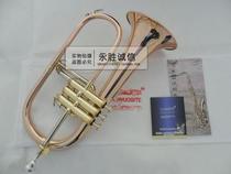 Renost phosphorus copper boutique Fulug trumpet sound soft and easy to play