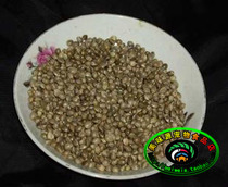 Matsui-Ma-seed 250 gr Venebird Birds Peony Parrot Bronze Mouth Bird Grain Pigeon Feed Fire Hemp 10 pieces