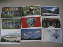 1999 Sichuan Post Office Sichuan Scenic spots Postage Postcard 8 All Daocheng Aden Sanxingdui