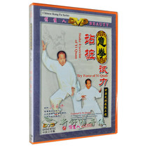 Bo Jiacong Yipan Station Pile Test DVD Chinese-English Bilingual Genuine Wushu Teaching CD-ROM