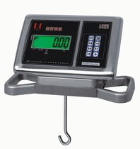 Guangdong Yueheng weighing machine to change the electric instrument stainless steel shell instrument scale New weighing instrument weighing table scale mechanical scale head