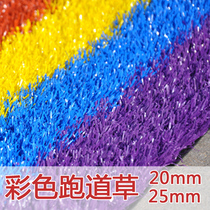 Special rainbow runway carpet for kindergarten Red yellow blue and purple artificial fake turf simulation plastic artificial turf