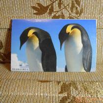 Photos of the postcard of the Ro Red Antarctic Imperial Penguin
