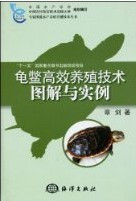 Illustration and Examples of Authentic Turtle High Efficiency Farming Technology