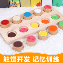 Infant baby children aged 0-1 - 3 - 6 years early teaching memory toy touch training wood Monts