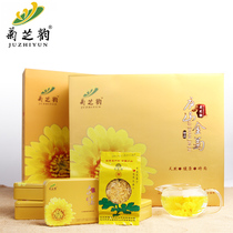 Kikuchi Rhymes Courtesy of the Chrysanthemum Throne with Chrysanthemum Chamomile Chamomile Flower Tea A Glass Of Water Golden Silk Royal Chamomile