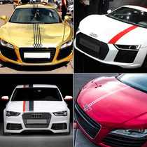 Suitable for Audi A1 A3 S3 A5 TT R8 A7 decoration modified car sticker pull flower body sticker film