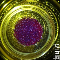 Sakyamuni robust son 1-2 milli for shalitagau box 12 years old shop