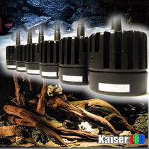 kaiser Caesar native South American shaped rat fish tank Three lakes Cichlid LED spot light clip light Tropical ornamental fish