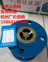HC41X-10 16 Flange check valve silencing check valve cast iron valve DN40 50 65 80 100