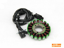 Suitable for Silver Blade BJ250T-8 Stator Components Coil Flywheel Components Magneto Magneto Magneto Magneto Disc