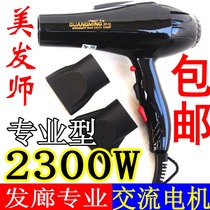 Light 9930 Professional Electric Blow Hair Salon Hair Style Electric Blow Air Duct 2300W Hairdryer Hair Dryer Blow Cylinder