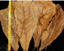 Olive kernel leaf Lazy leaf Betta dragon fish Colorful short snapper Egyptian fairy breeding and breeding Acid-lowering day * natural leaf leaves 5 pieces