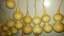 Natural gourd dry gourd Baobao gourd gourd Baobao gourd about 20cm