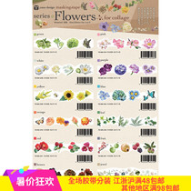 Small D Home Hands Tent Perimeter Japan Round Top Yano Flower Cycle Split