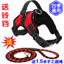 Large dog gold wool Alaska Labrador Haschic dog chain in dog chest braces traction rope neckline