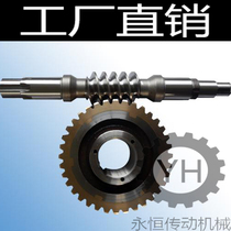 Manufacturers process turbine worm and worm gear copper and steel large reducer turbine gear custom single and double heads