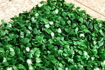 Simulation lawn green plant Milan turf encryption balcony plastic lawn decoration green artificial grass thickened plant wall
