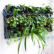 Three-dimensional green wall Vertical wall planting decoration Green plant wall flower Liquid toothpaste dormitory clothing motor design