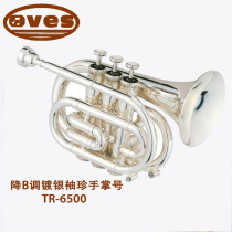 Sino-Japanese joint venture Ovis down B tune TR-6500 silver-plated pocket trumpet palm surprise gift