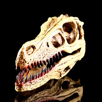 Swift Dragon Skull Model Simulation Handicraft Interior Furnishing Resin Skeleton Skull Head Home Personality Decoration