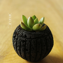 Cloud life aesthetics Volcanic stone flower pot Tengchong Volcanic stone fleshy flower pot Flower device