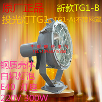 Bright boat ship floodlight TG1-A ship harbor wharf incandescent lighting TG1-B 220V300W500W