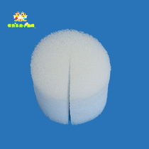 No. 45 colonized cotton balcony planting vegetables soilless cultivation value hydroponic vegetable planting cotton