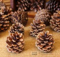 Natural pine cones pine ball towers retro nature dried flowers photography props online shop pictures photo background collocation
