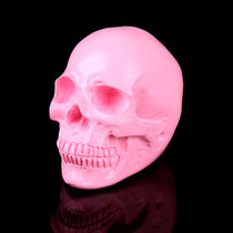 Small number Skull skull head pink home pendulum decorated with medical teaching resin DIY integrated head