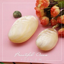 Full 35 kinds of natural conch shell Pearl scraping shell collection handicraft stalls supply