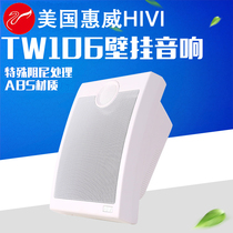 Hivi TW106 wall-mounted sound constant pressure wall-mounted speaker Wall-mounted sound constant pressure conference speaker