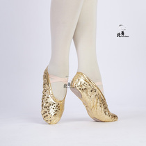 Golden ballet dance shoes womens soft belly dance girls practice shoes childrens dance shoes cat claw shoes