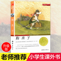 Dog came book genuine international awards novels of students extracurricular books third si wu liu nian level read sheanray press teacher teacher recommended 7-8-10-12-15-year-old best-selling