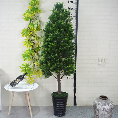 好货如云 塔型松柏树圣诞 价格: 715 现价:500元