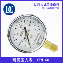 (Dascheng) Seismic Pressure Gauge YN-60 Oil Pressure Gauge Hydraulic Gauge Specification Complete Spot