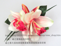 Hawaii Grass Dance Apparel Accessories Accessories Accessories