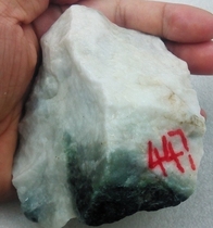 Nanyang Dushan jade rough black and white material 447g boutique